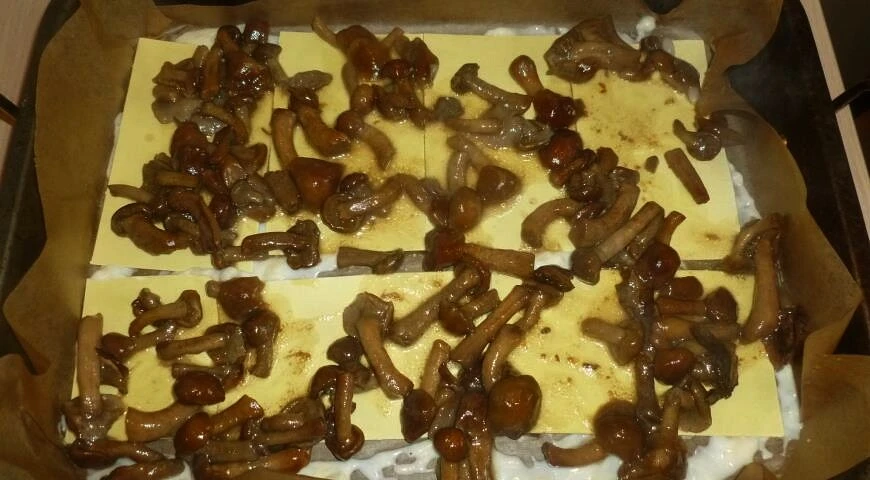 Lasagna with mushrooms