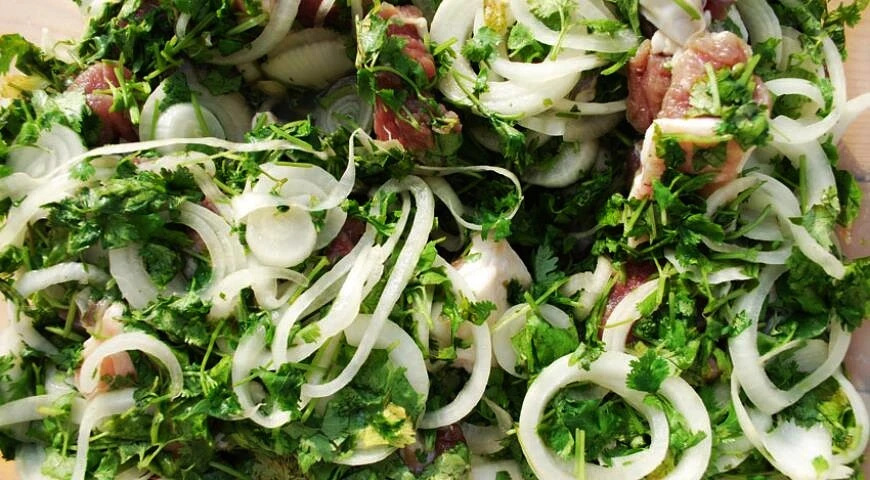 Lamb skewers with cilantro and onions