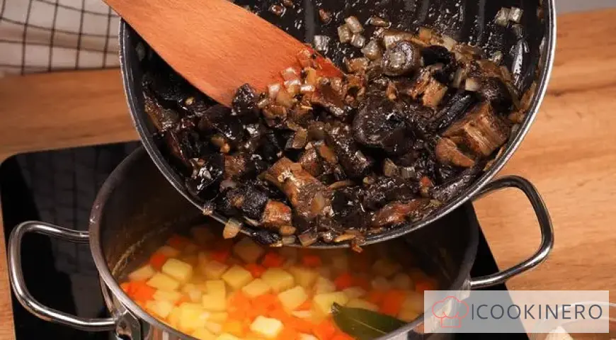 Crema di funghi di bosco
