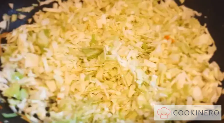 Homemade cabbage soup