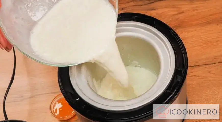 Ice cream in an ice cream maker