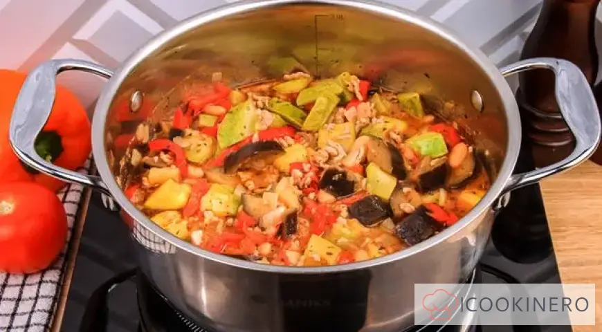 Vegetable stew with minced meat