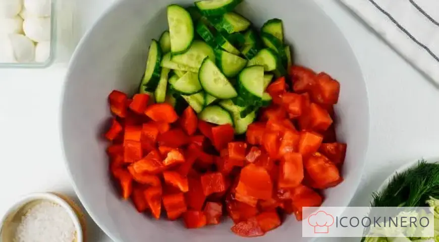Fresh vegetable salad with mozzarella