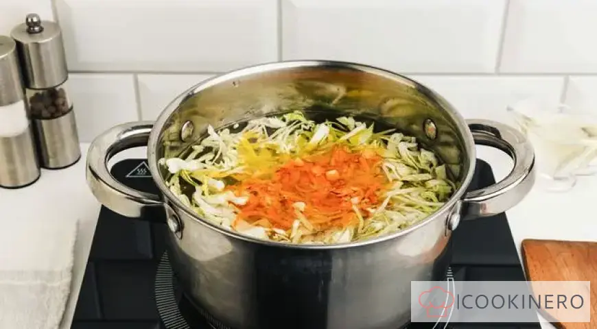 Fresh cabbage soup