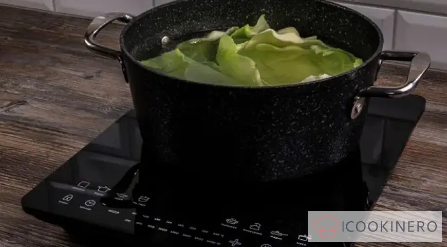 Traditional cabbage rolls