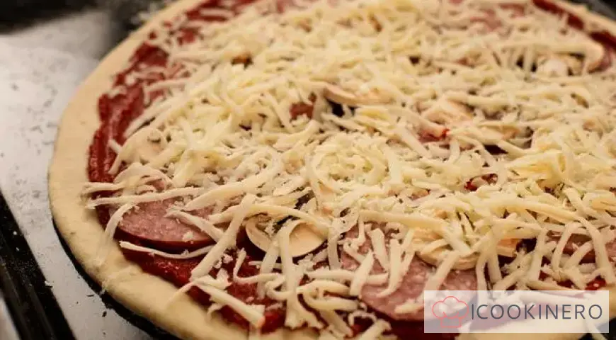 Pizza with mushrooms, salami, parmesan and mozzarella cheeses