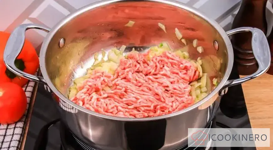 Vegetable stew with minced meat