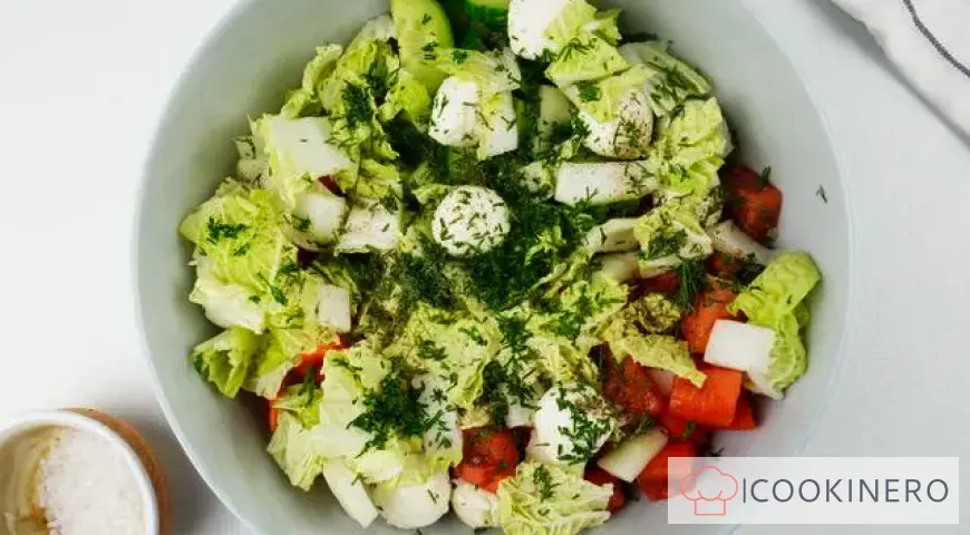Fresh vegetable salad with mozzarella