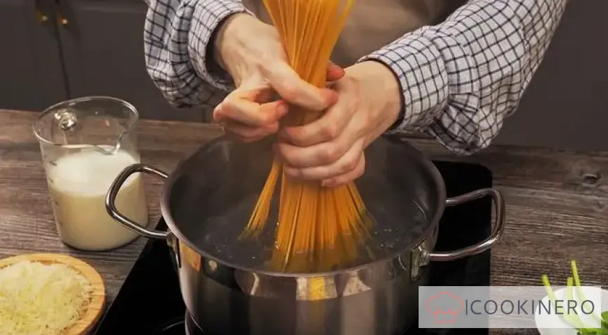 Pasta in creamy sauce with cheese