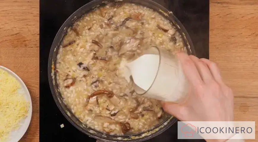 Risotto with dried mushrooms