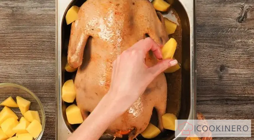 Duck with apples and potatoes