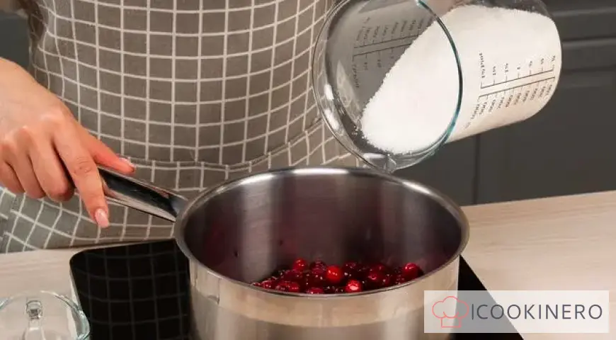 Marmellata di mirtilli rossi