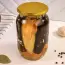 Melanzane sottaceto per l'inverno