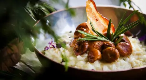 Risotto with chanterelles