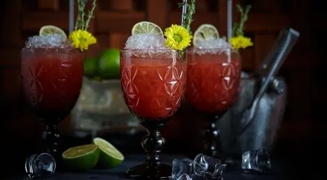 Lemonade "Puer Sauer"