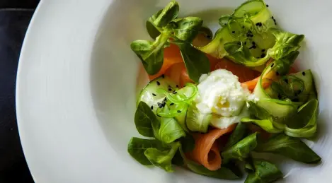 Lightly salted salmon with cucumber