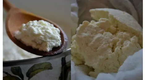 Fromage cottage maison