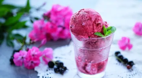 Creamy blackcurrant ice cream