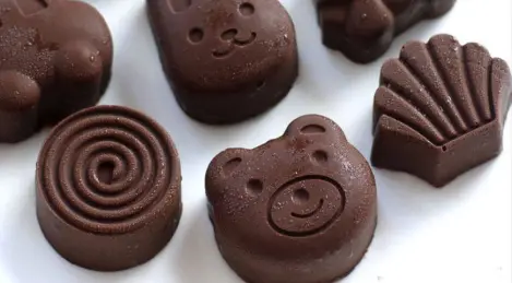 Chocolates with yogurt ice cream