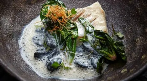 Lucioperca con leche ahumada