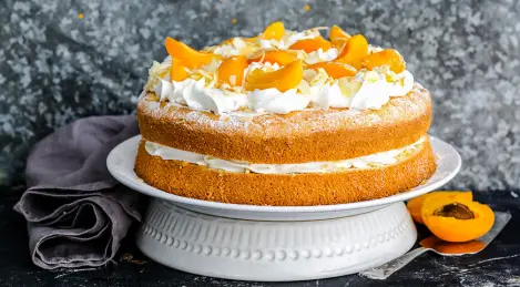 Biscuit cake with apricots