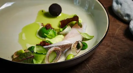 Bocadillo de pescado blanco de Ladoga con patatas falsas bajo un velo de pepino fresco