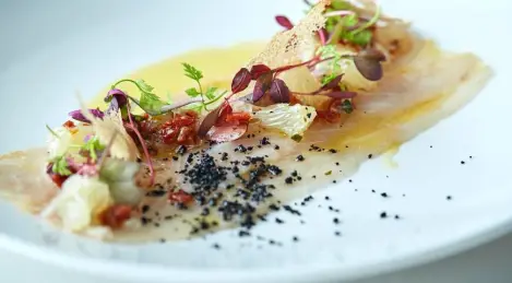 Carpaccio de Barramundi