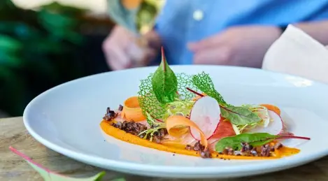 Dorado Ceviche with Korean Carrot Cream