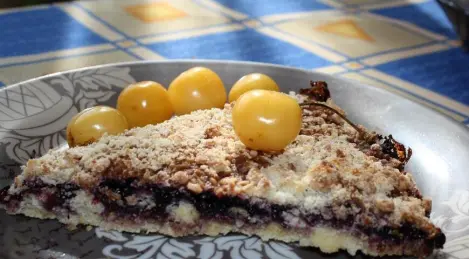 "Cospargere" con marmellata di ribes nero
