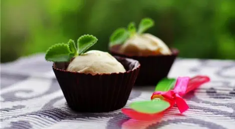 Ice cream "American"