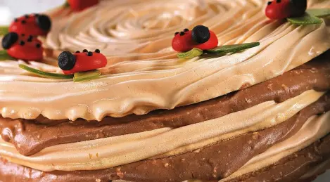 Meringue cake with custard