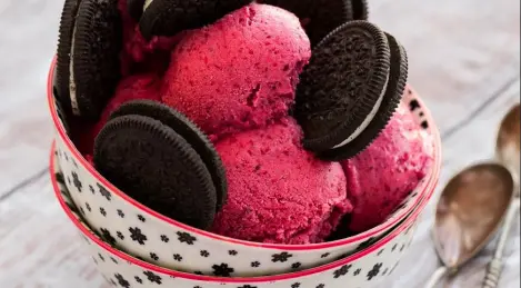 Cranberry-Sorbet mit Schokoladenkeksen