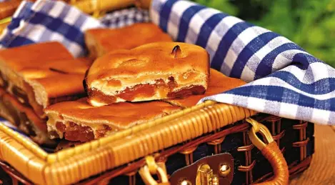 Sweet squares with dried apricots