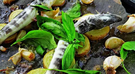 Eisfisch mit Kartoffeln und Knoblauch