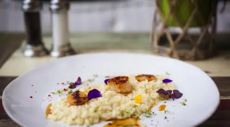 Risotto de limón con vieiras