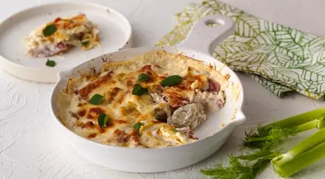 Fennel Geneva style with ham