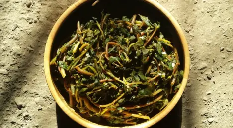 Salade apéritive de pourpier