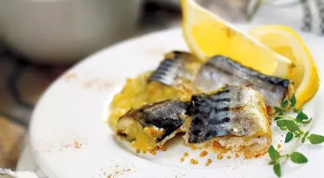 Dijon mackerel fillets