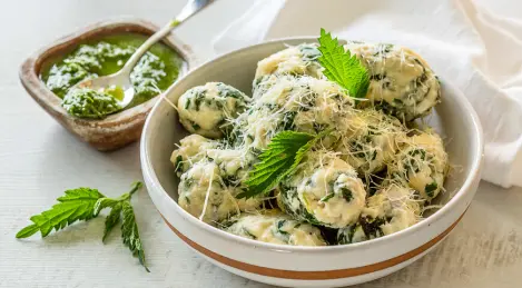 Cottage cheese dumplings (malfatti) with nettle