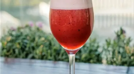 Sgroppino with blueberries