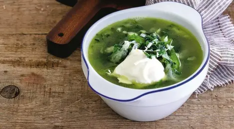 Grüner Borschtsch mit Brennnessel