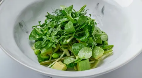 Grüne Salatblätter mit Avocado und Spargel