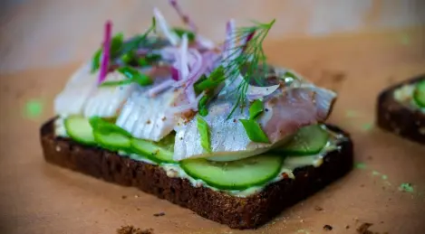 Panini con spratto e aringhe, come su Deribasovskaya