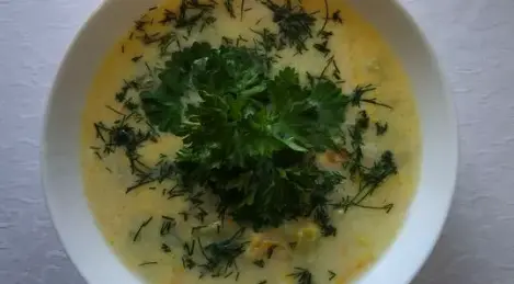 Milk soup with vegetables